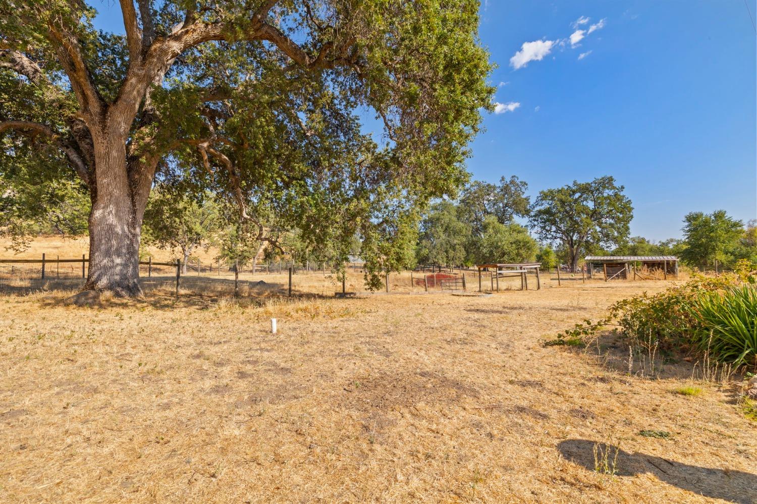 Detail Gallery Image 14 of 39 For 17790 Yosemite Rd, Sonora,  CA 95370 - 2 Beds | 2 Baths