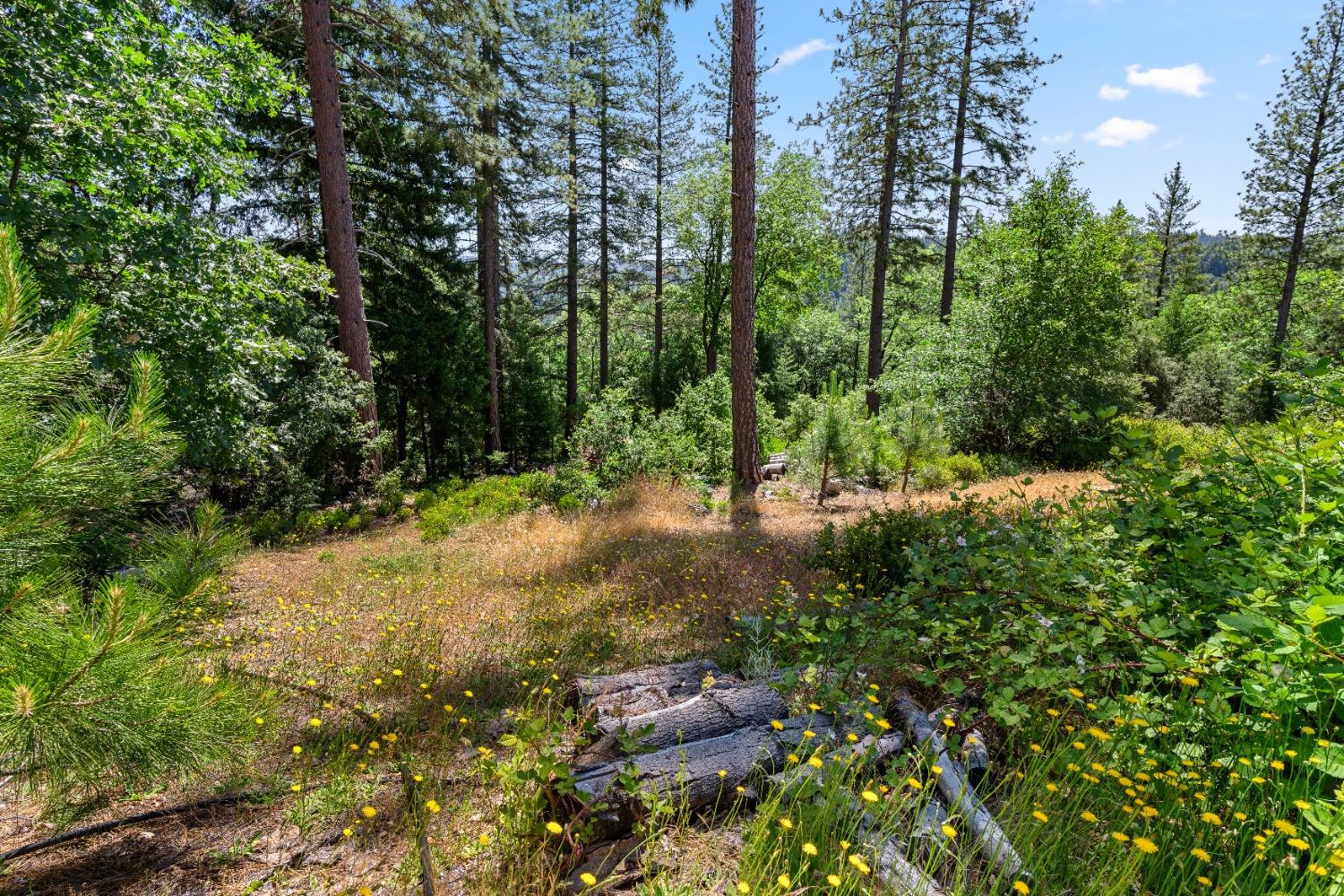 Detail Gallery Image 14 of 16 For 0 Old Donner Trail, Grass Valley,  CA 95945 - – Beds | – Baths