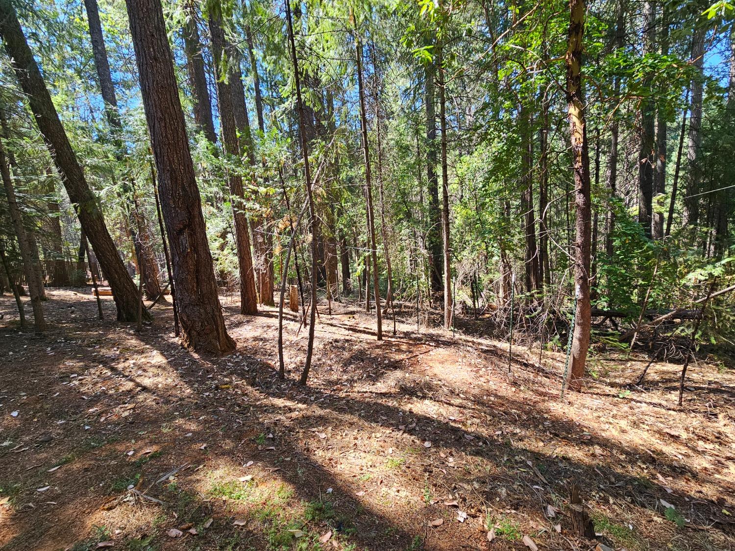 Detail Gallery Image 29 of 45 For 13792 Rockway Pl, Nevada City,  CA 95959 - 3 Beds | 3/1 Baths