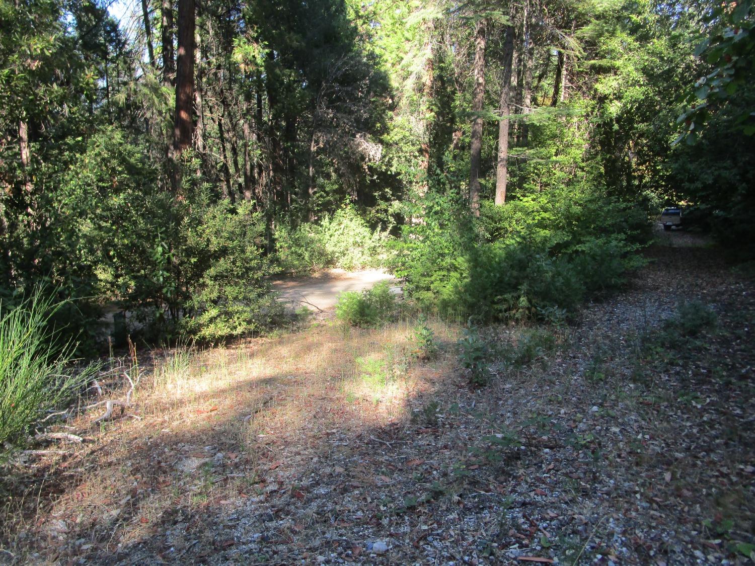 Detail Gallery Image 7 of 10 For 16675 Black Sands Mine Rd, Nevada City,  CA 95959 - – Beds | – Baths