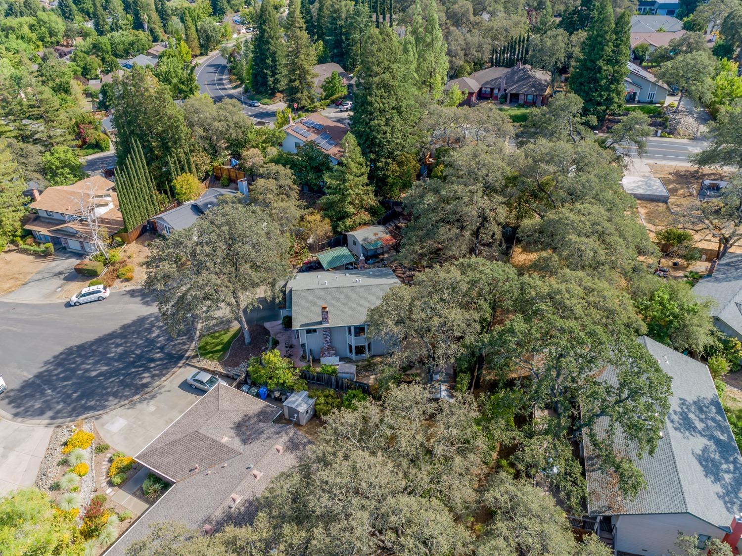 Detail Gallery Image 54 of 64 For 117 Cheryl Ct, Folsom,  CA 95630 - 4 Beds | 2/1 Baths