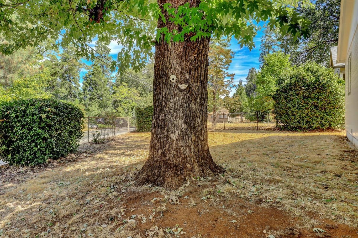 Detail Gallery Image 63 of 78 For 13207 Ridge Rd, Grass Valley,  CA 95945 - 3 Beds | 2 Baths