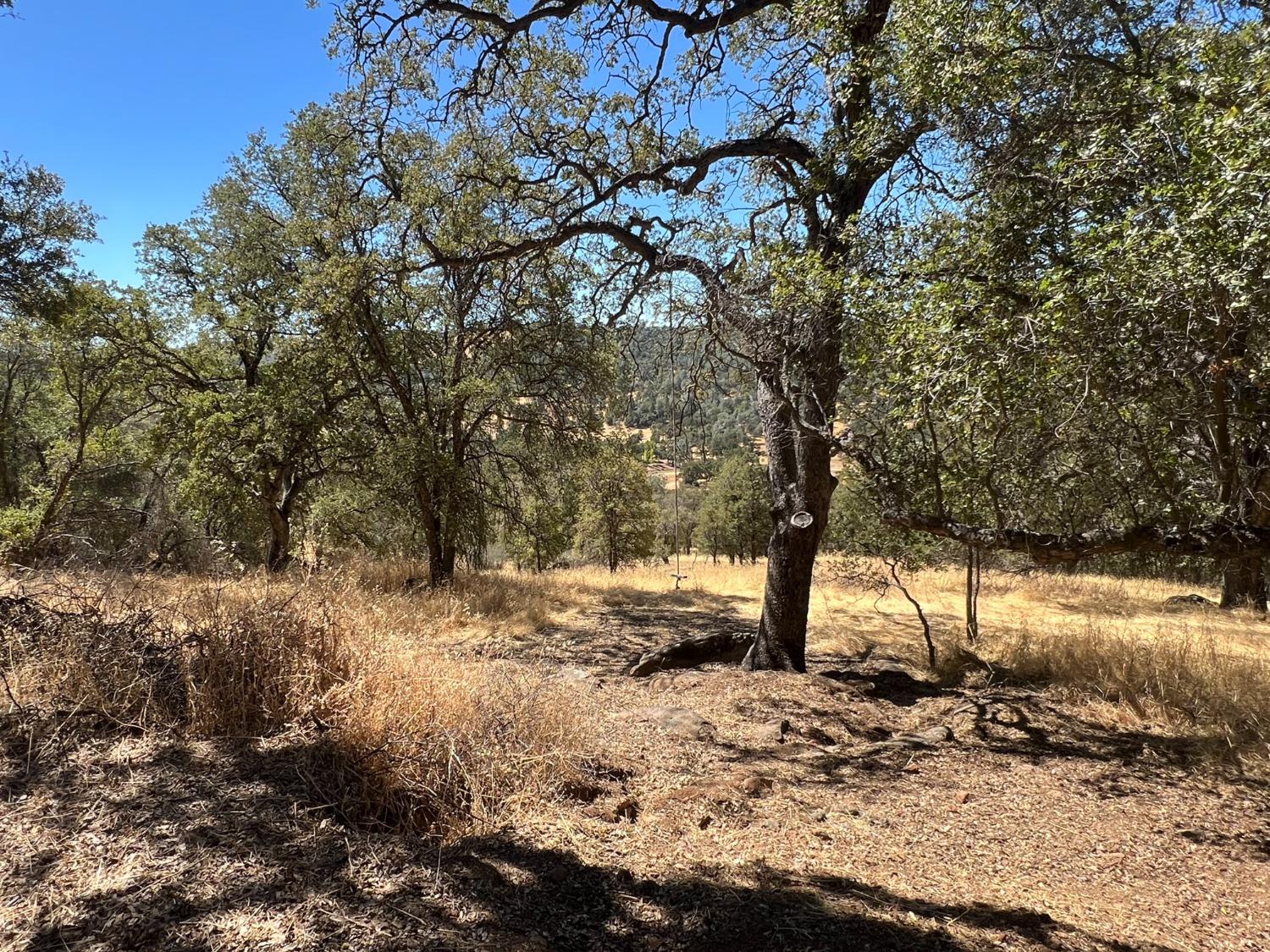 Pinto Road, Angels Camp, California image 16