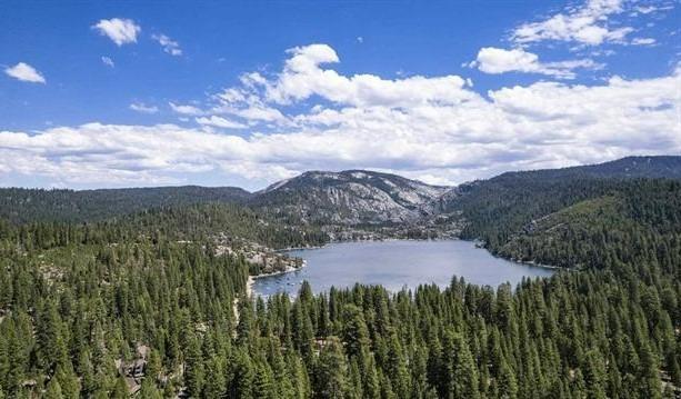 Sugarpine Road, Pinecrest, California image 29