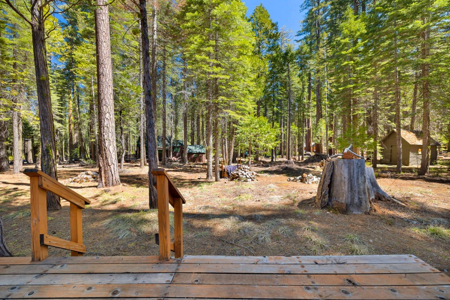 Detail Gallery Image 23 of 33 For 237 Sugarpine Road, Pinecrest,  CA 95364 - 3 Beds | 1/1 Baths