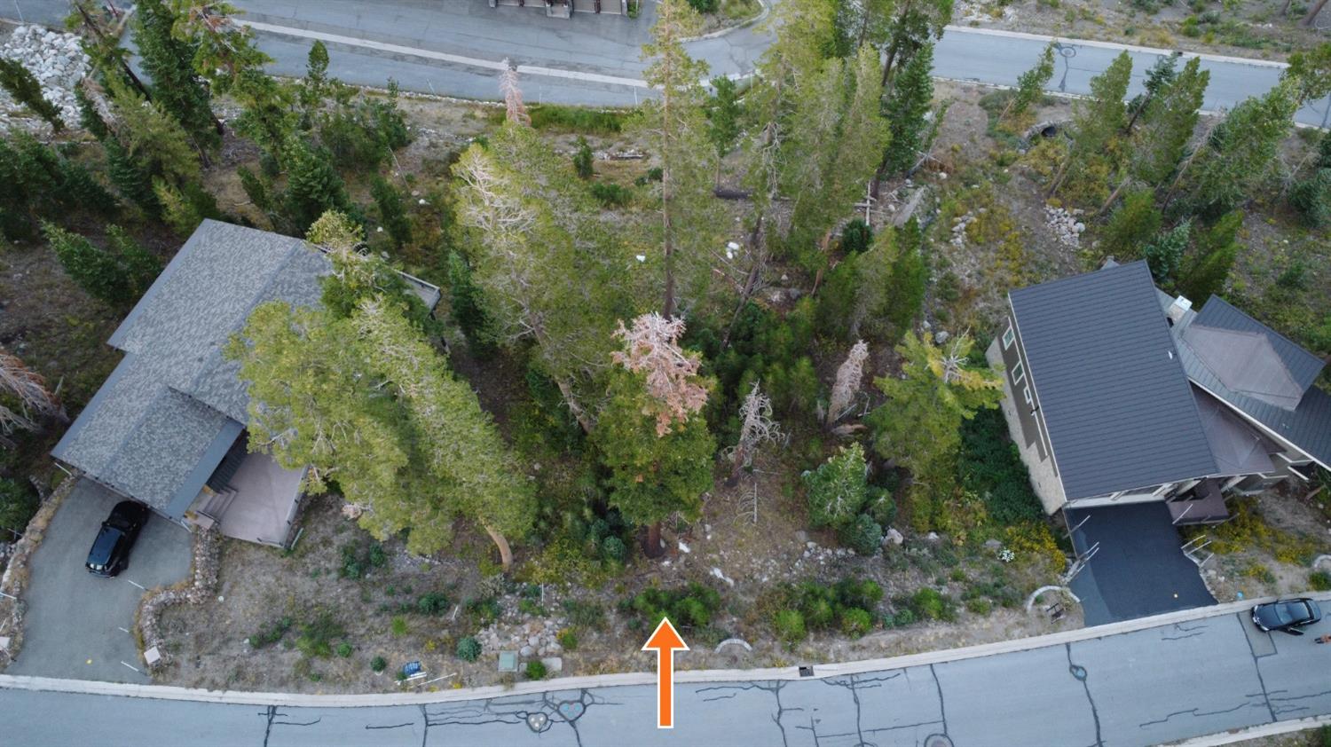 Detail Gallery Image 3 of 8 For 0 Palisades Dr, Kirkwood,  CA 95646 - – Beds | – Baths