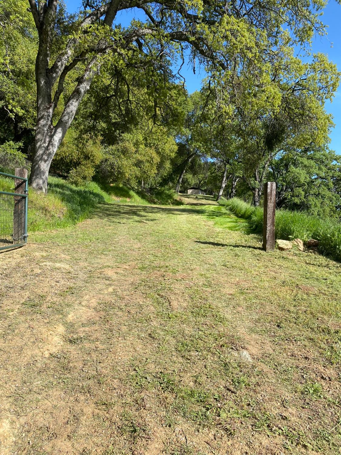 Pinto Road, Angels Camp, California image 9