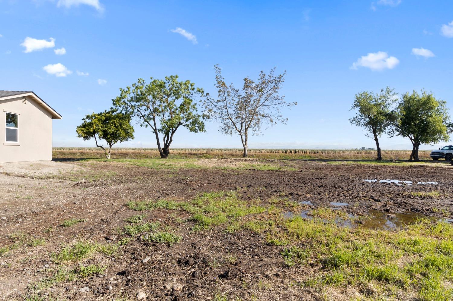 Cody Avenue, Planada, California image 24