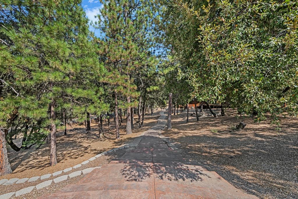 Detail Gallery Image 50 of 61 For 4460 Meadowlark Way, Placerville,  CA 95667 - 3 Beds | 2 Baths