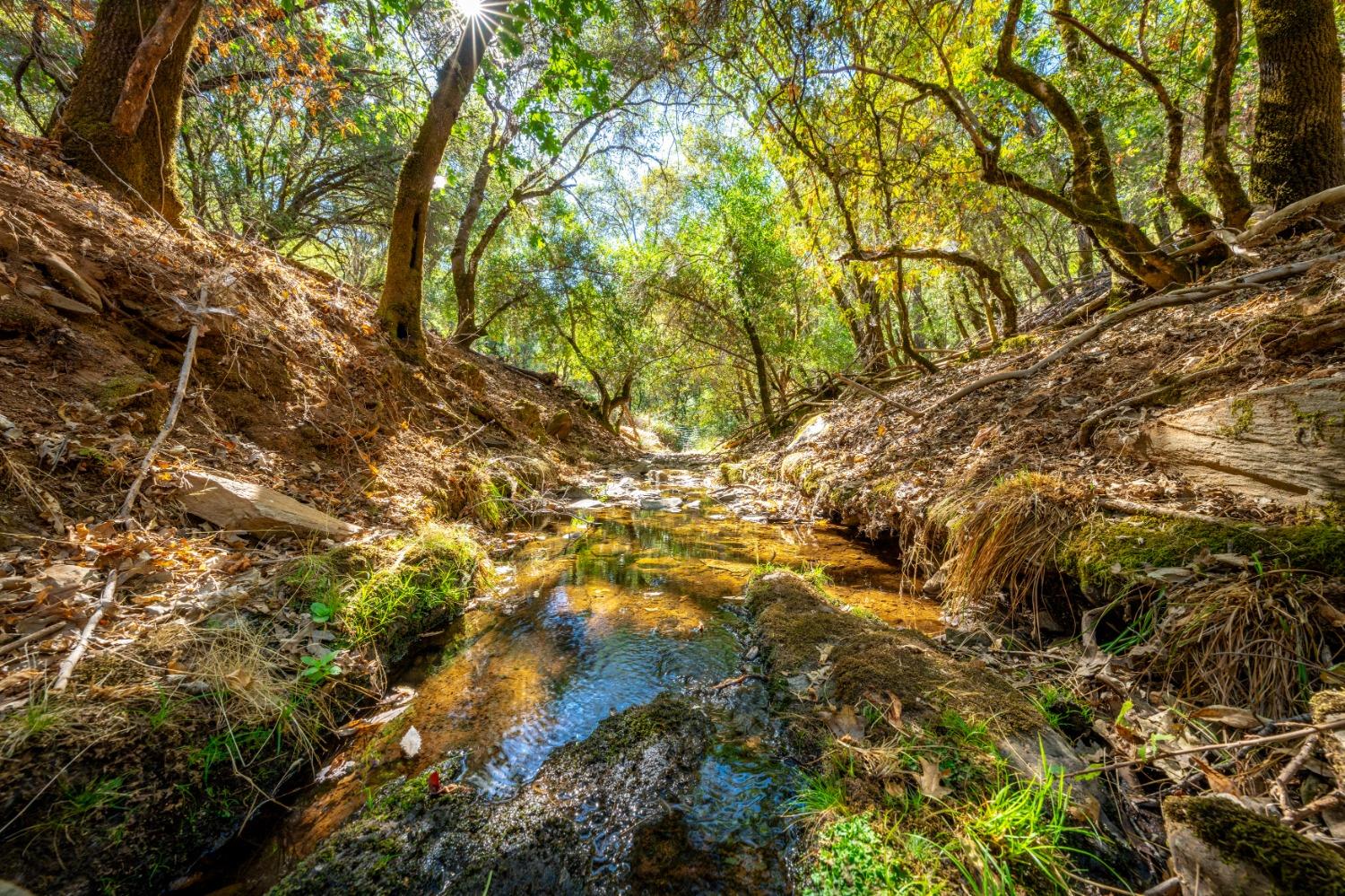 Syd Road, Greenwood, California image 3