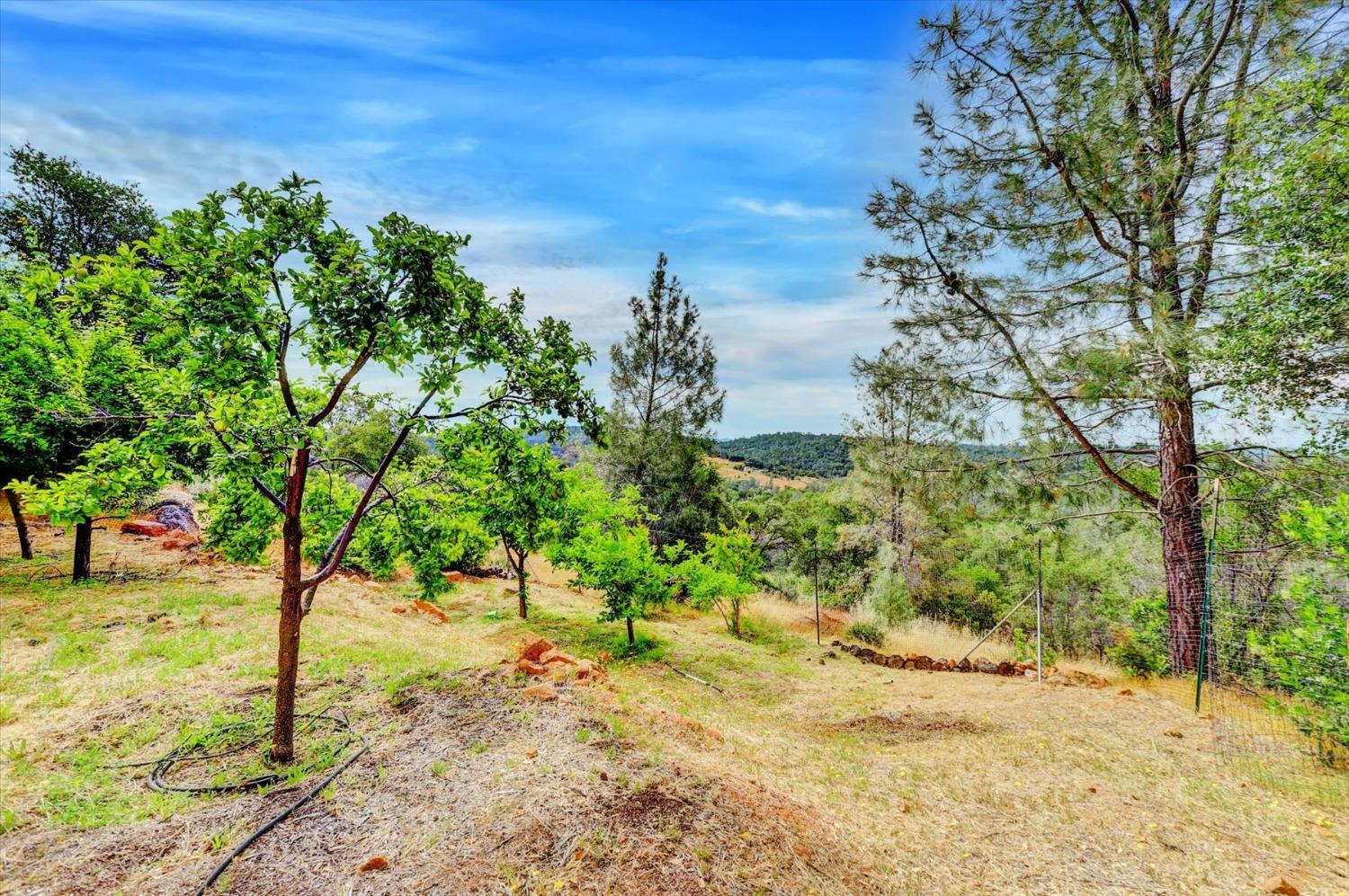 Detail Gallery Image 25 of 95 For 15463 Summit Way, Grass Valley,  CA 95949 - 4 Beds | 3/1 Baths