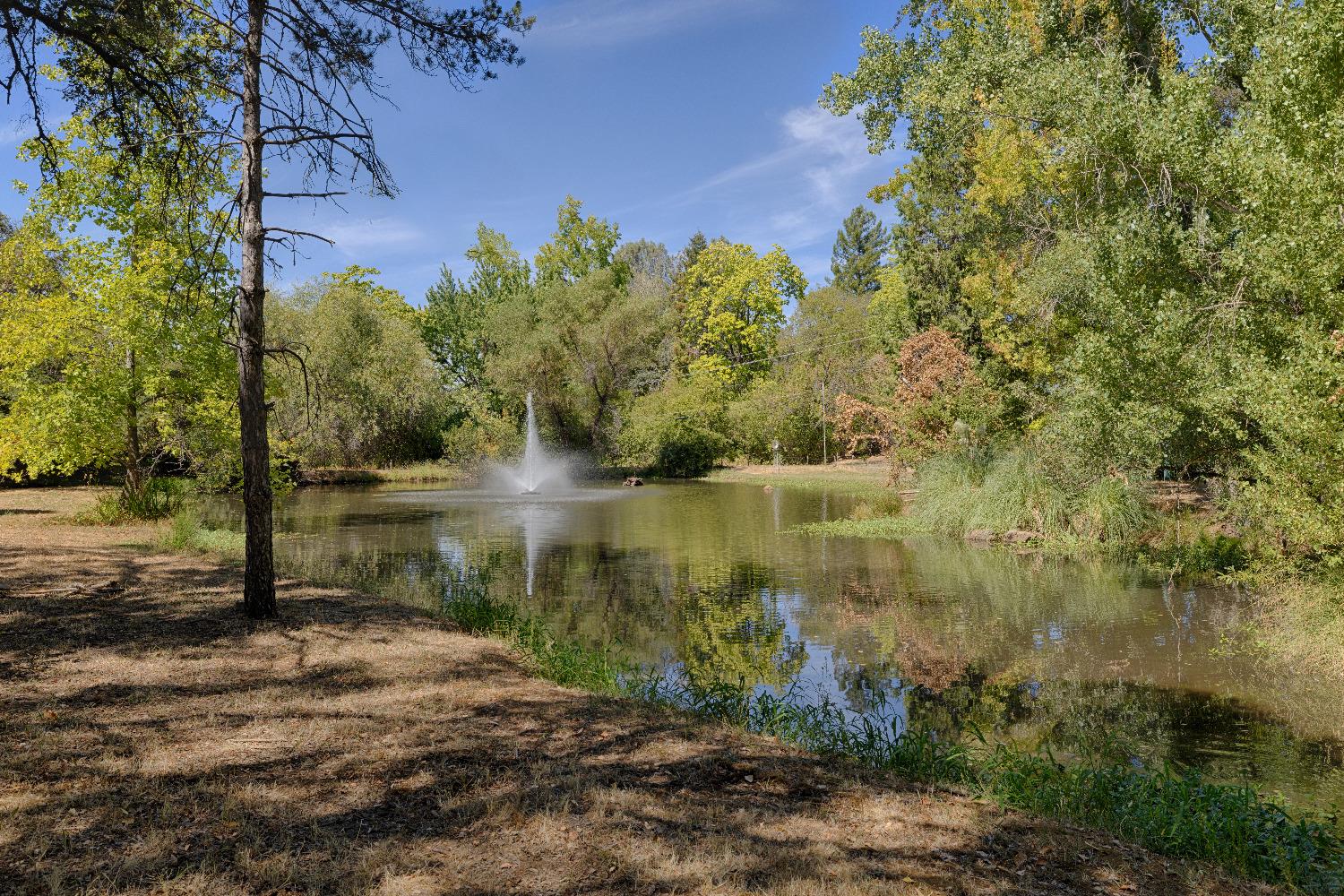 Detail Gallery Image 3 of 49 For 1630 Christian Valley Rd, Auburn,  CA 95602 - 3 Beds | 3/1 Baths