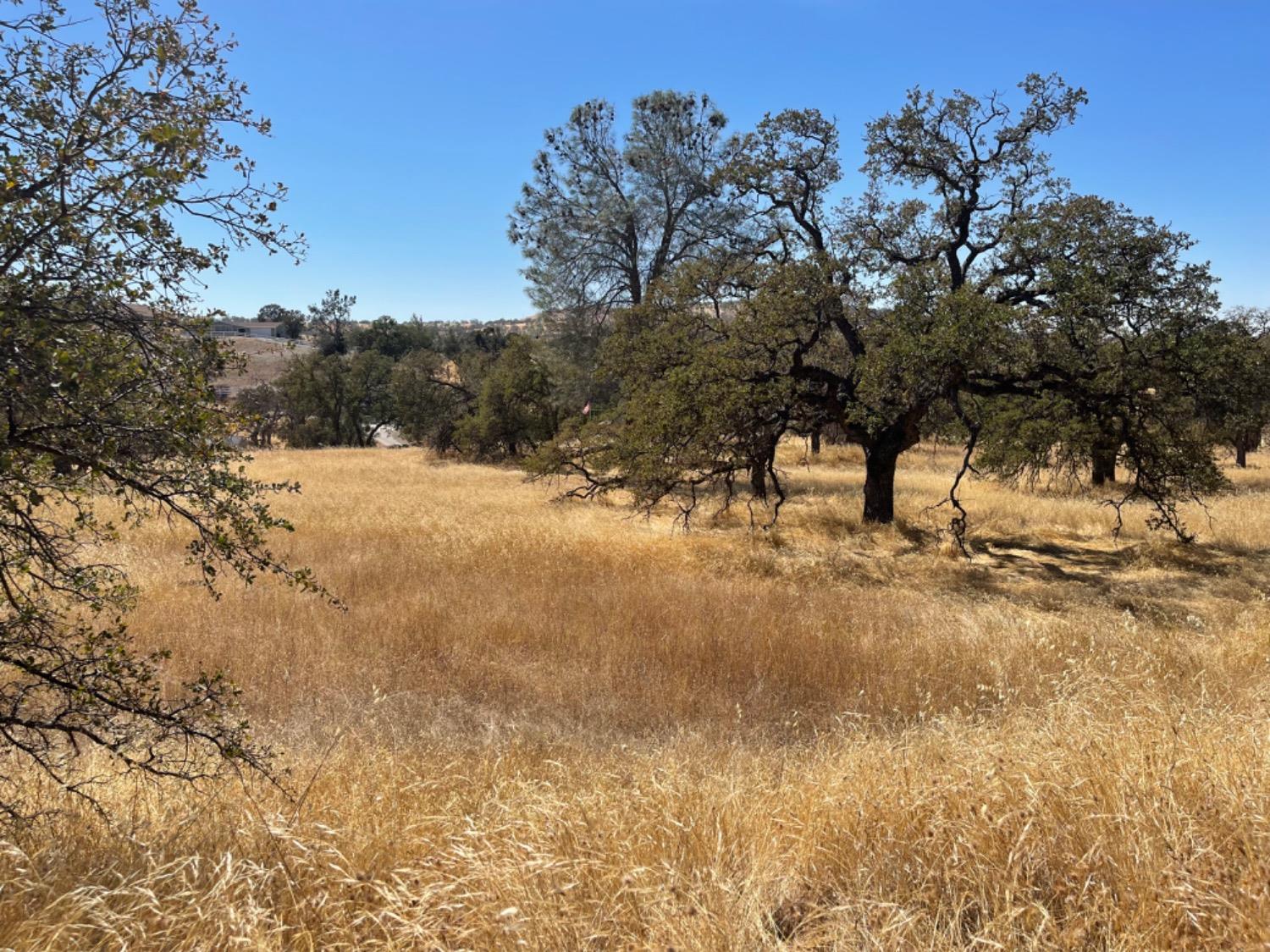 Pepito, La Grange, California image 7