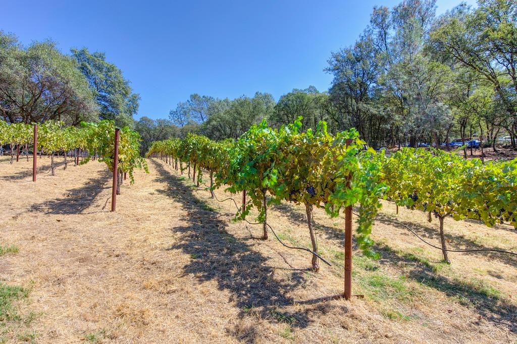 Detail Gallery Image 33 of 35 For 5560 Fawnridge Rd, Auburn,  CA 95602 - 3 Beds | 2/1 Baths