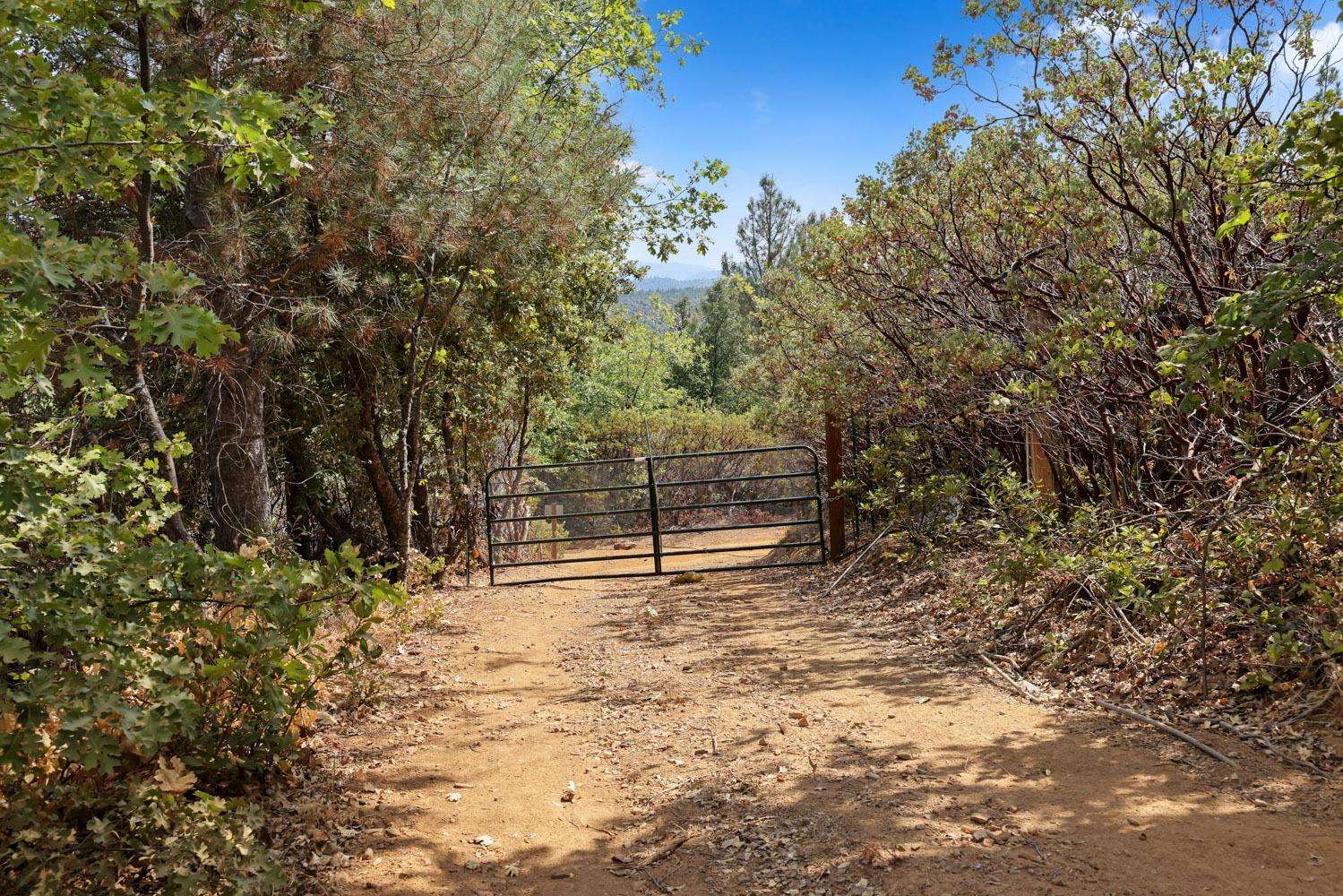 Bondurant Mine Road, Coulterville, California image 8