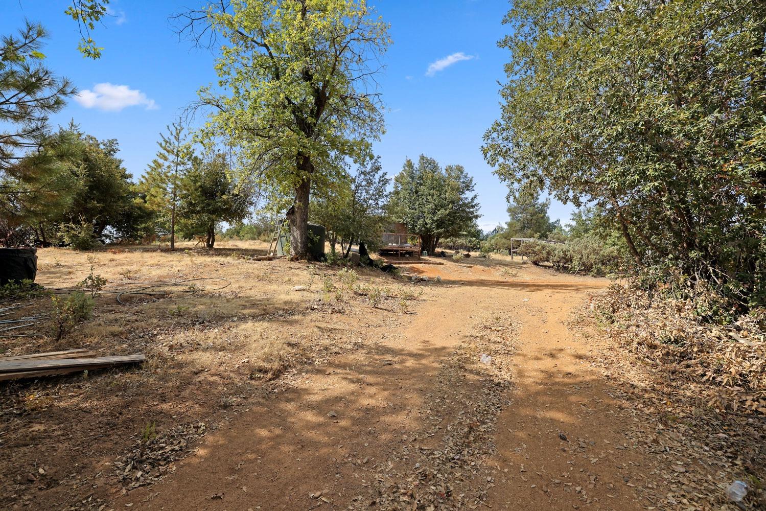 Bondurant Mine Road, Coulterville, California image 9