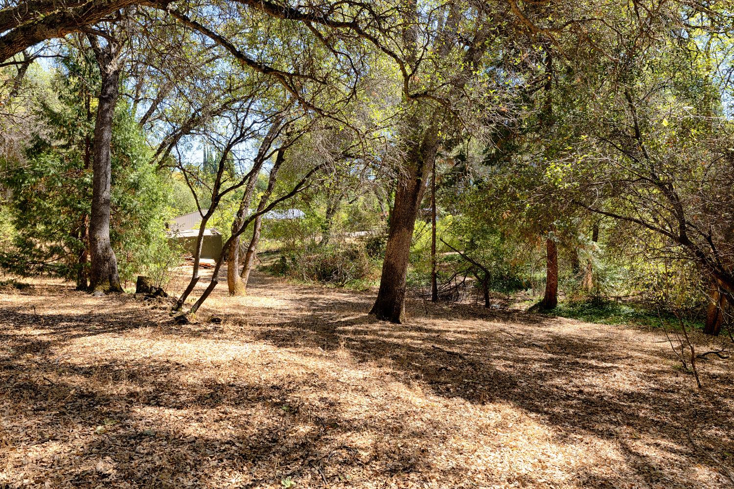 Detail Gallery Image 47 of 49 For 1630 Christian Valley Rd, Auburn,  CA 95602 - 3 Beds | 3/1 Baths