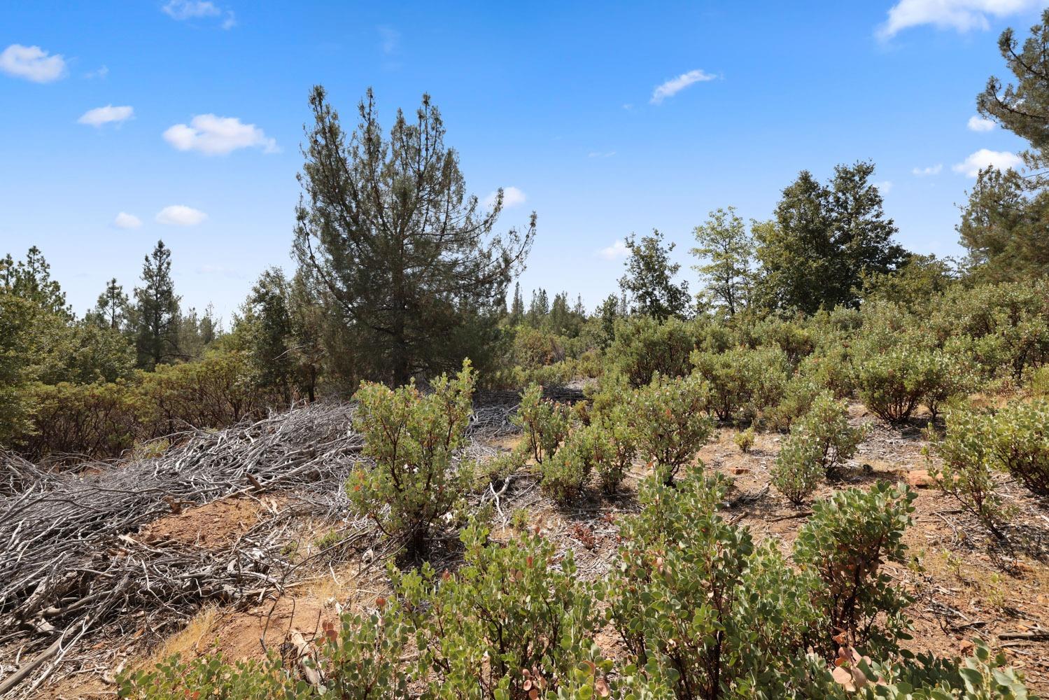 Bondurant Mine Road, Coulterville, California image 18