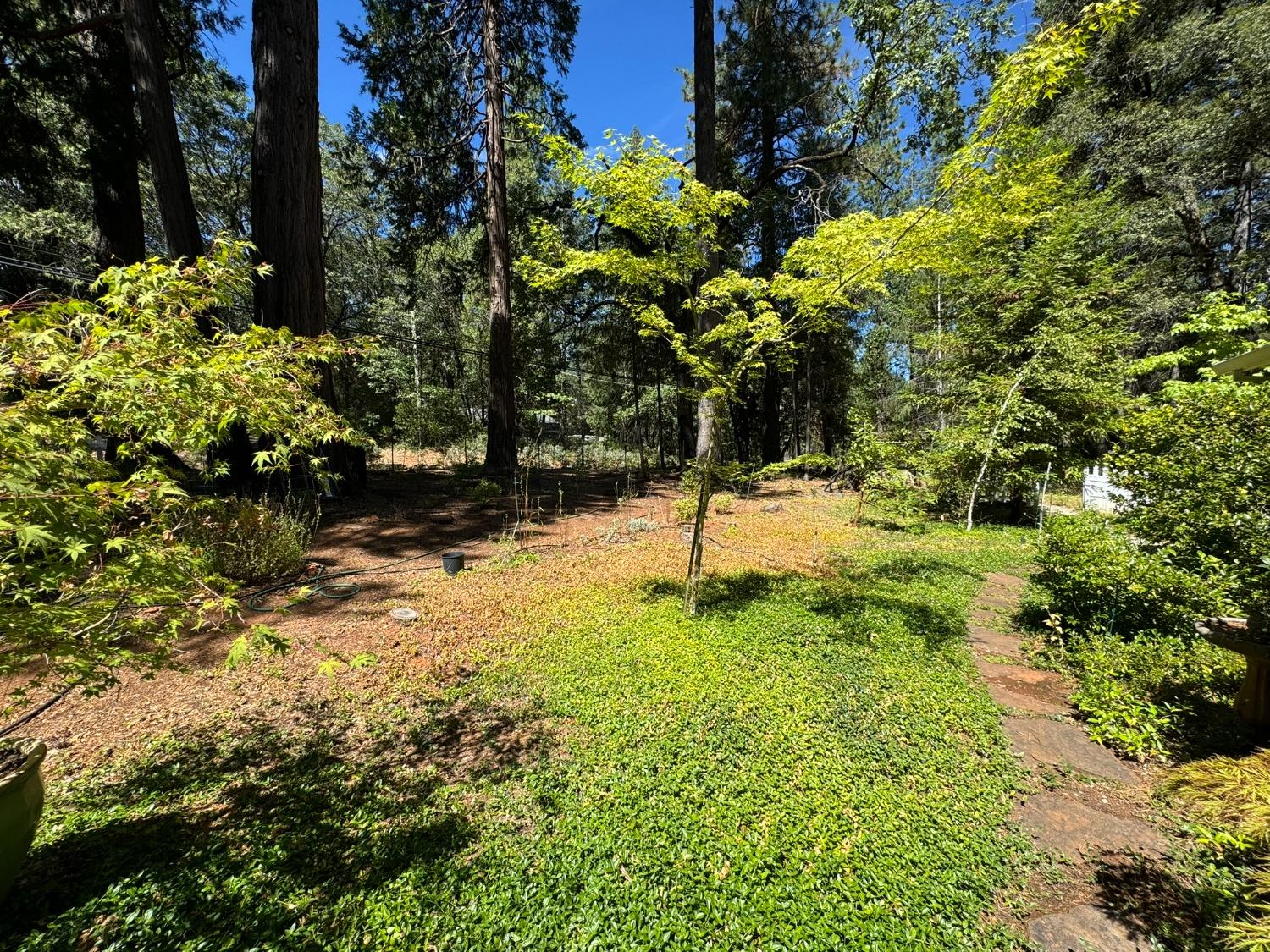 Detail Gallery Image 45 of 49 For 13287 Rattlesnake Rd, Grass Valley,  CA 95945 - 3 Beds | 3 Baths