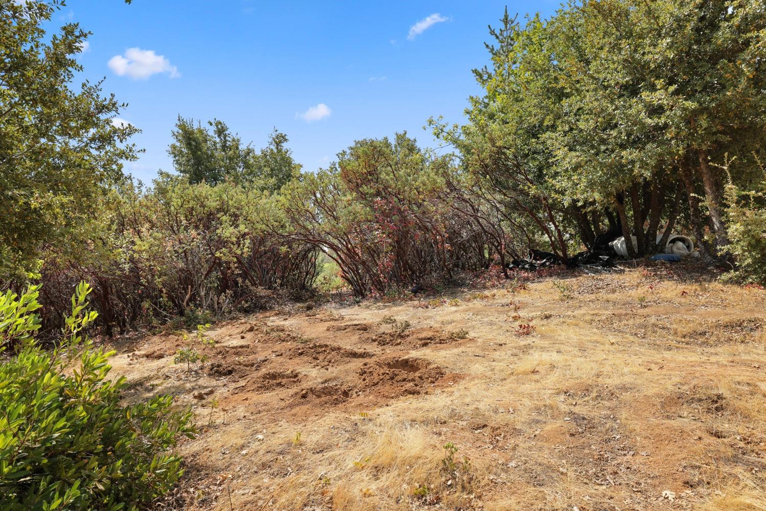 Bondurant Mine Road, Coulterville, California image 16