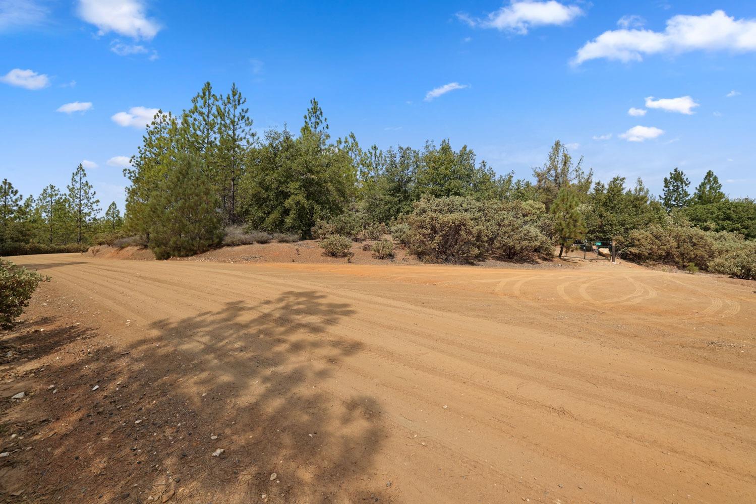 Bondurant Mine Road, Coulterville, California image 1