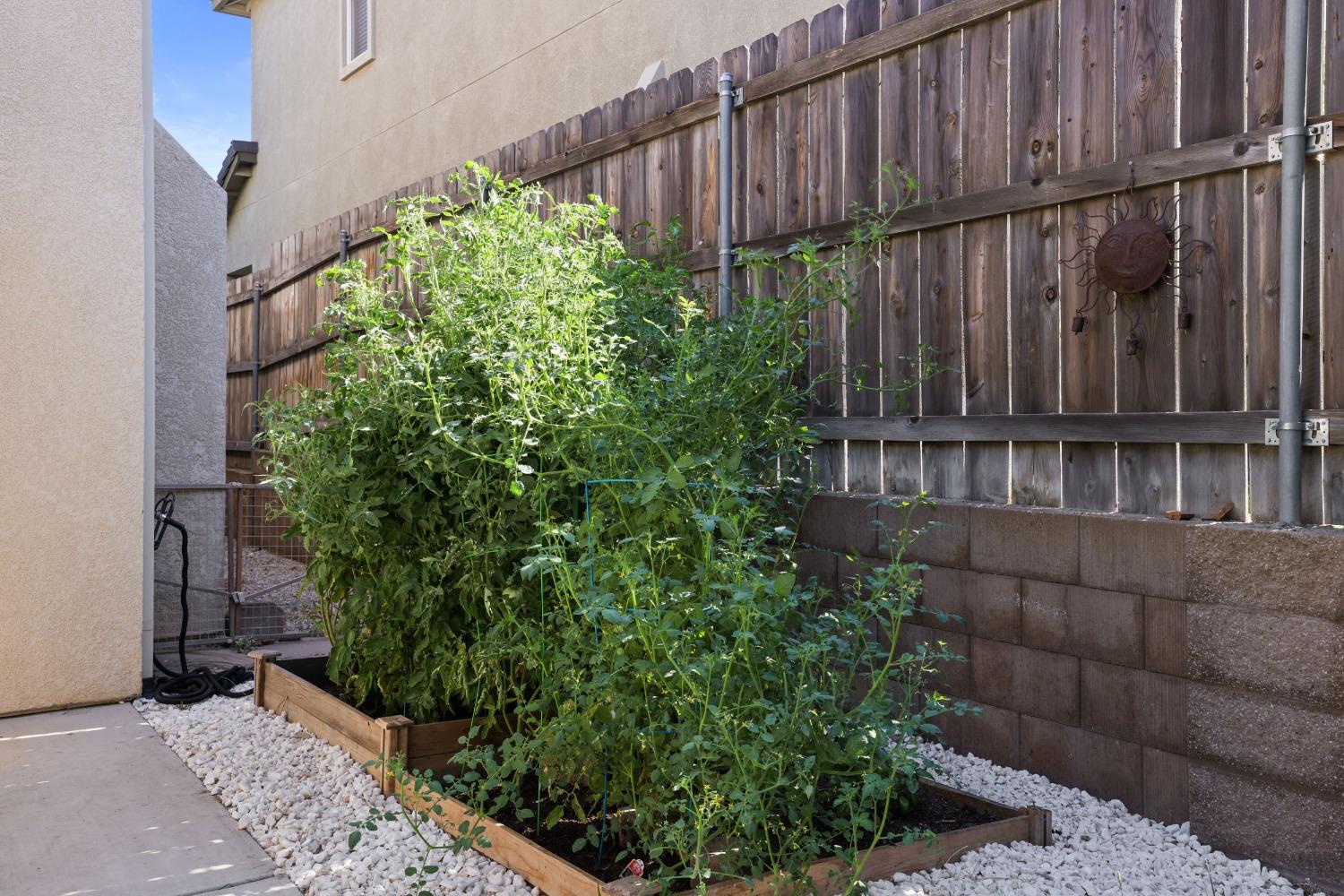 Detail Gallery Image 34 of 41 For 1711 Silver Ridge Way, Oakdale,  CA 95361 - 4 Beds | 2/1 Baths