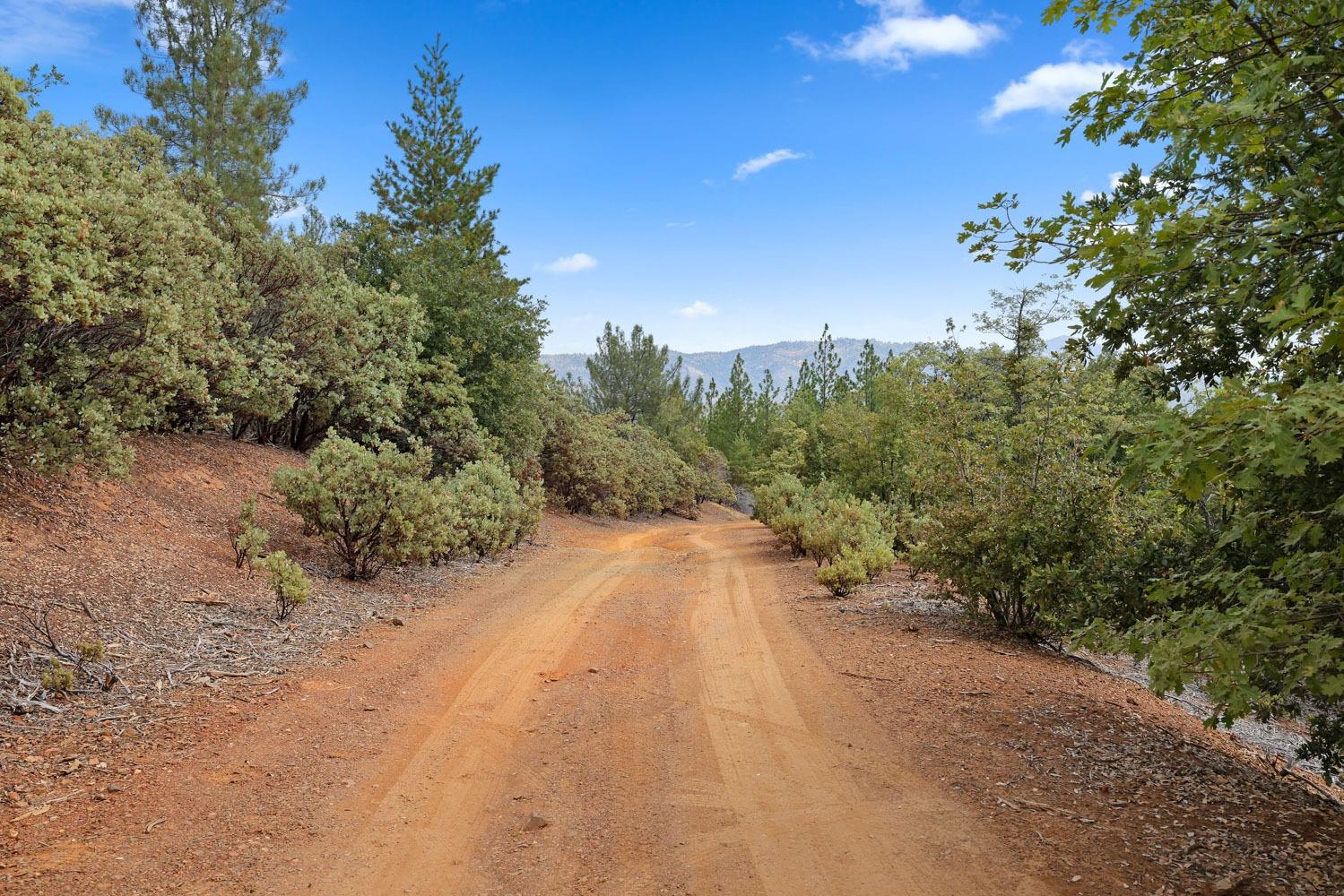 Bondurant Mine Road, Coulterville, California image 4