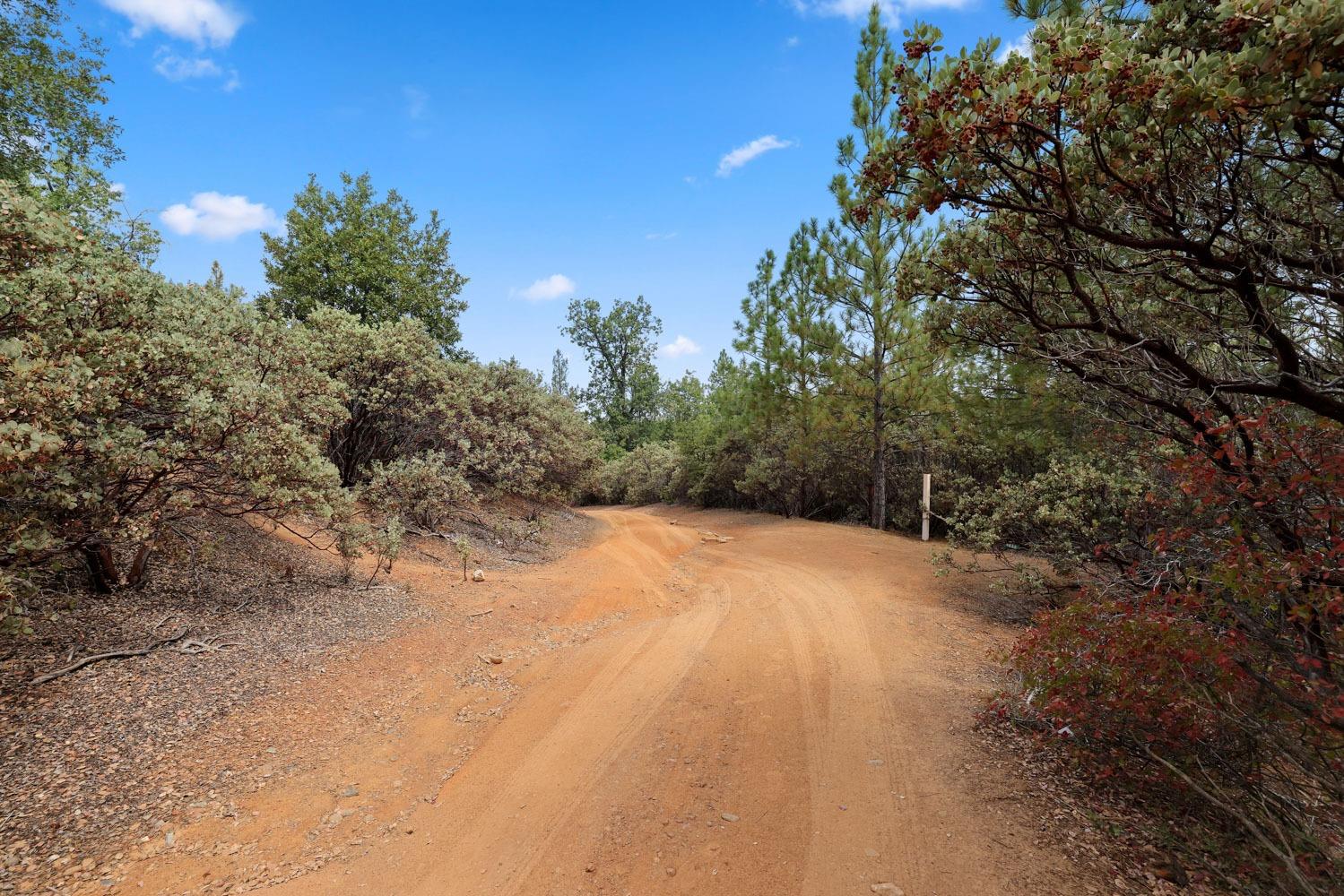 Bondurant Mine Road, Coulterville, California image 5