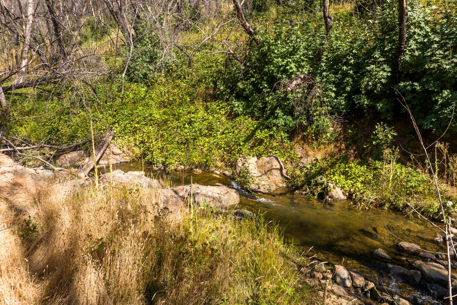 Deer Hollow Way, Grass Valley, California image 1