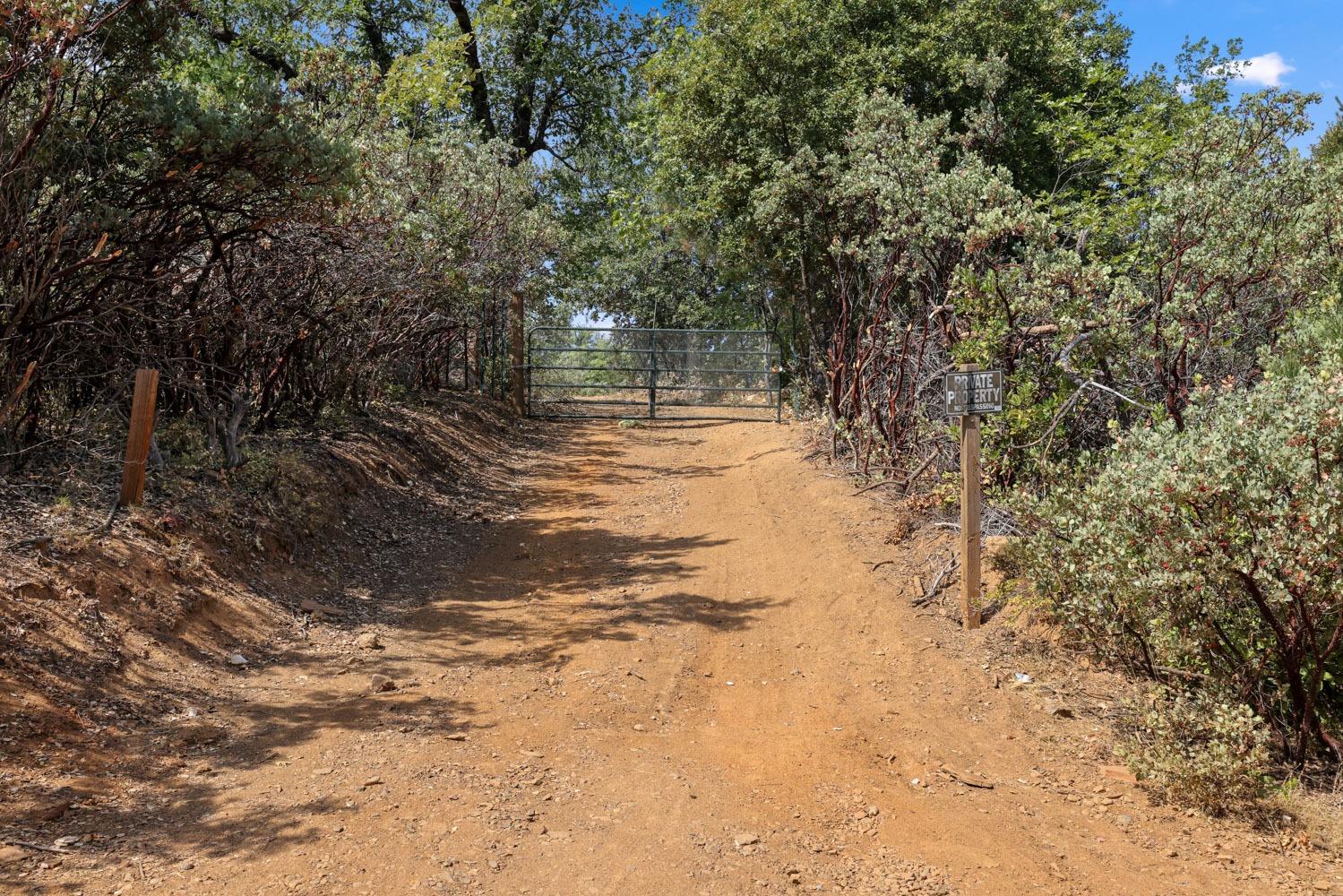 Bondurant Mine Road, Coulterville, California image 7