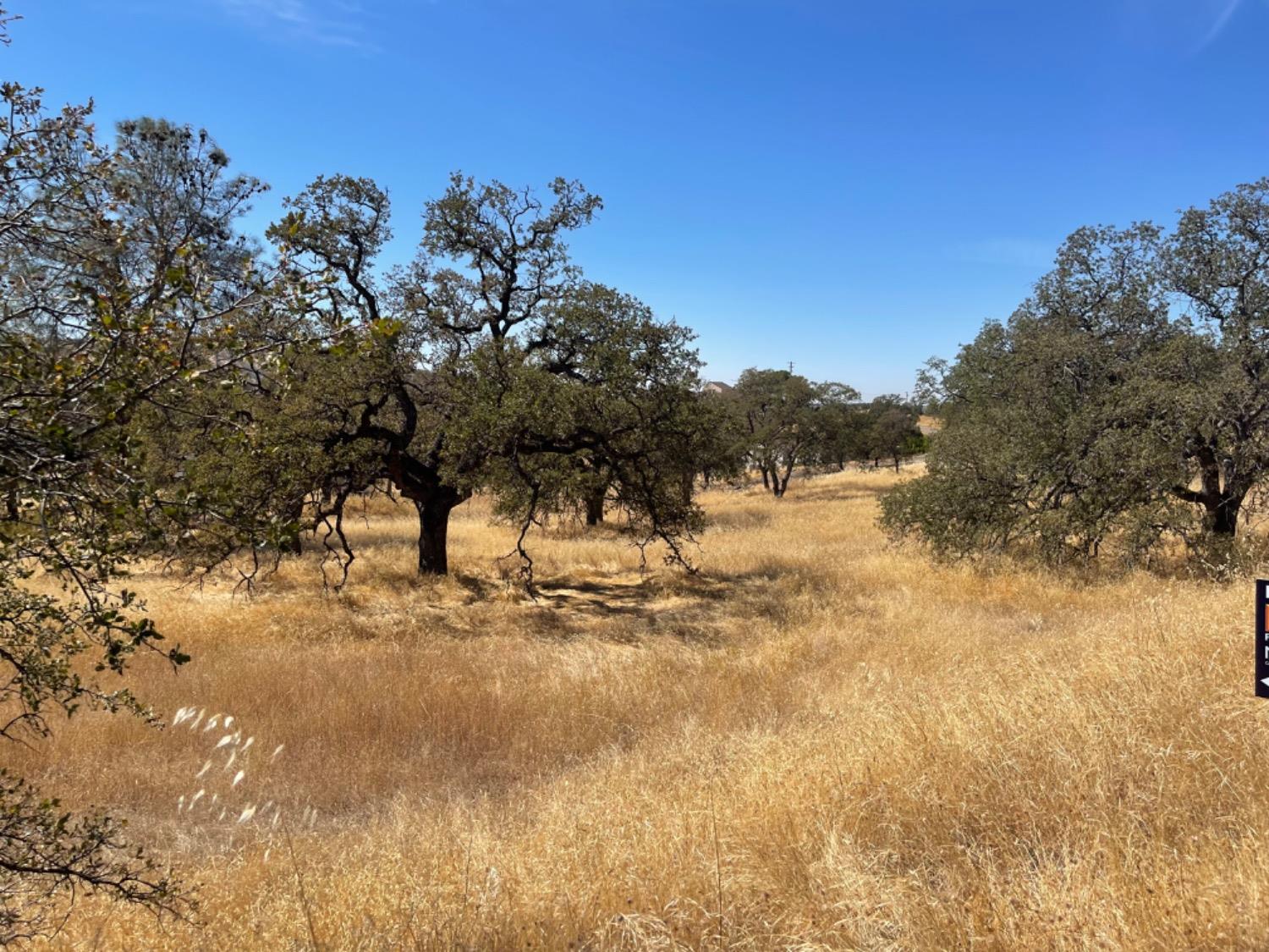 Pepito, La Grange, California image 9