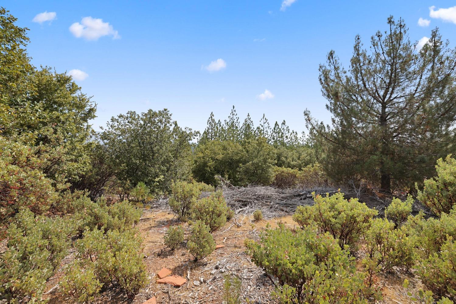 Bondurant Mine Road, Coulterville, California image 19