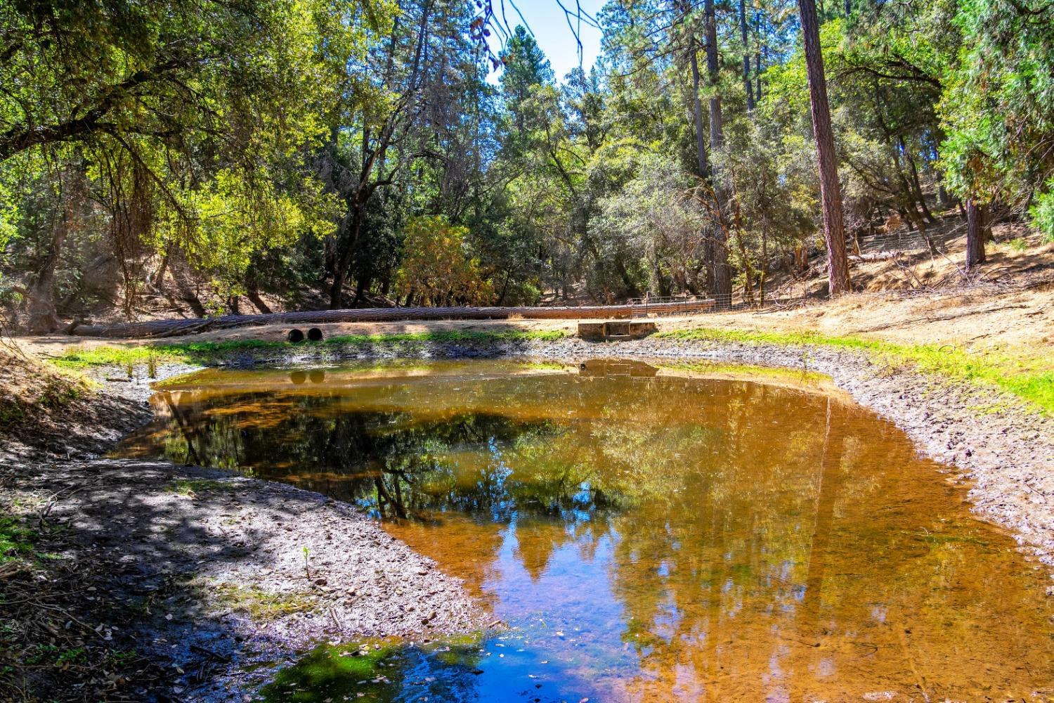 Syd Road, Greenwood, California image 6