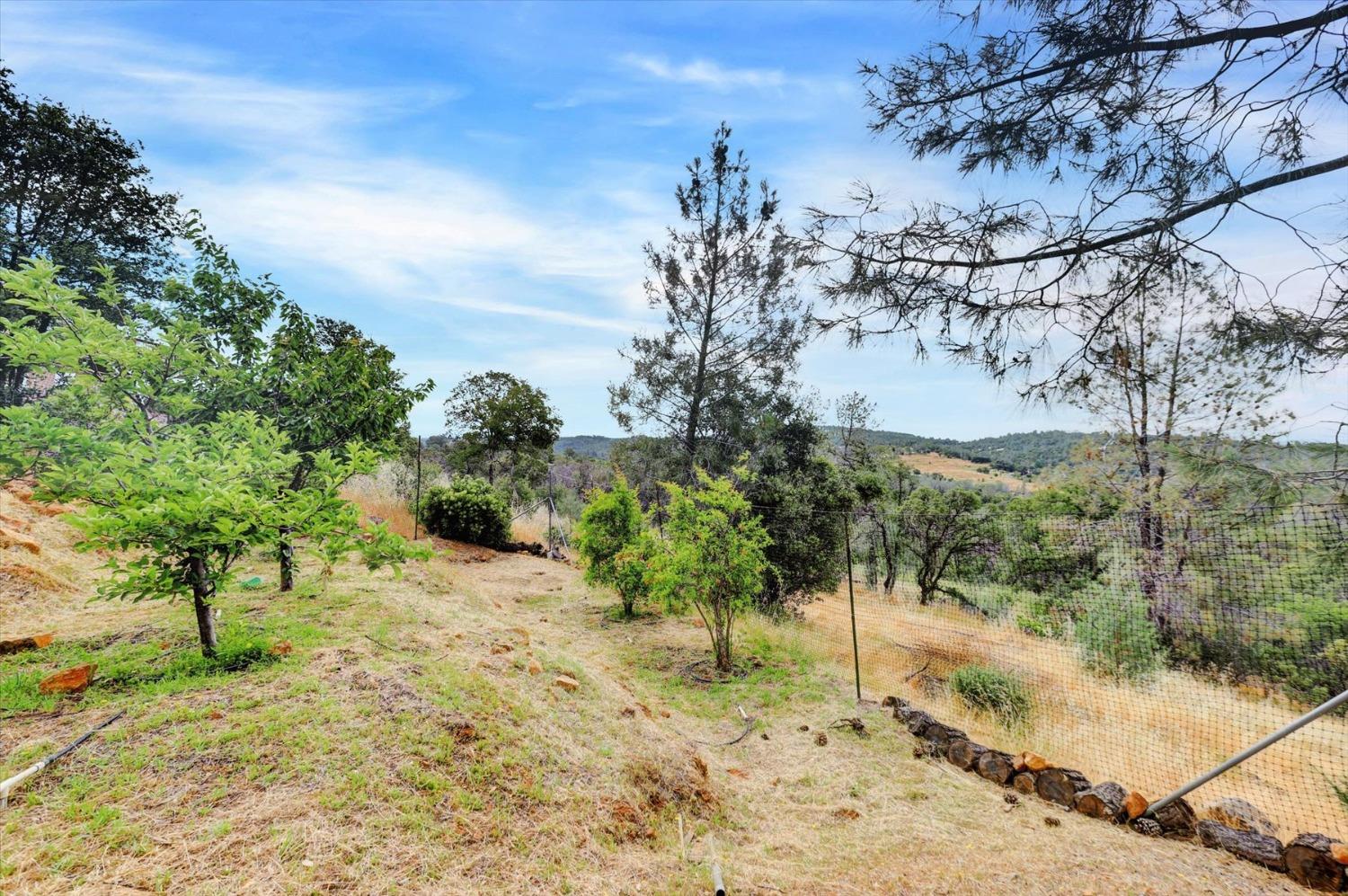 Detail Gallery Image 28 of 95 For 15463 Summit Way, Grass Valley,  CA 95949 - 4 Beds | 3/1 Baths