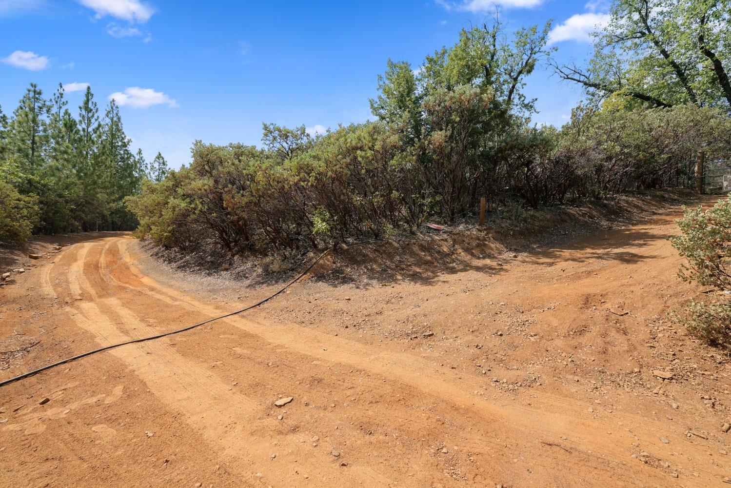 Bondurant Mine Road, Coulterville, California image 6