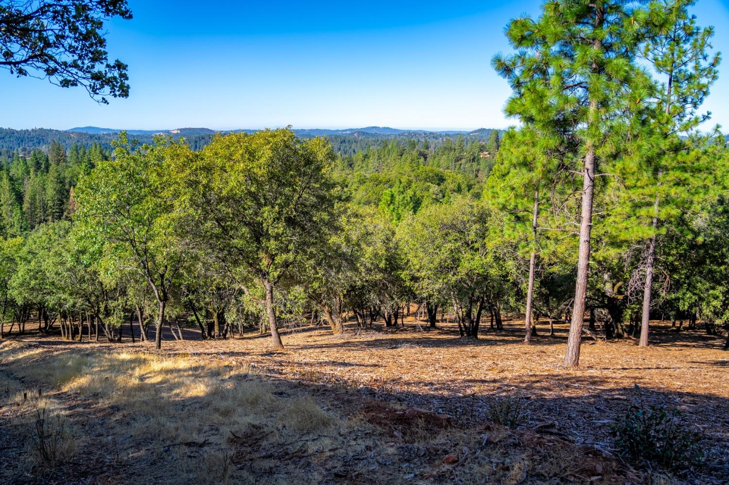 Syd Road, Greenwood, California image 8