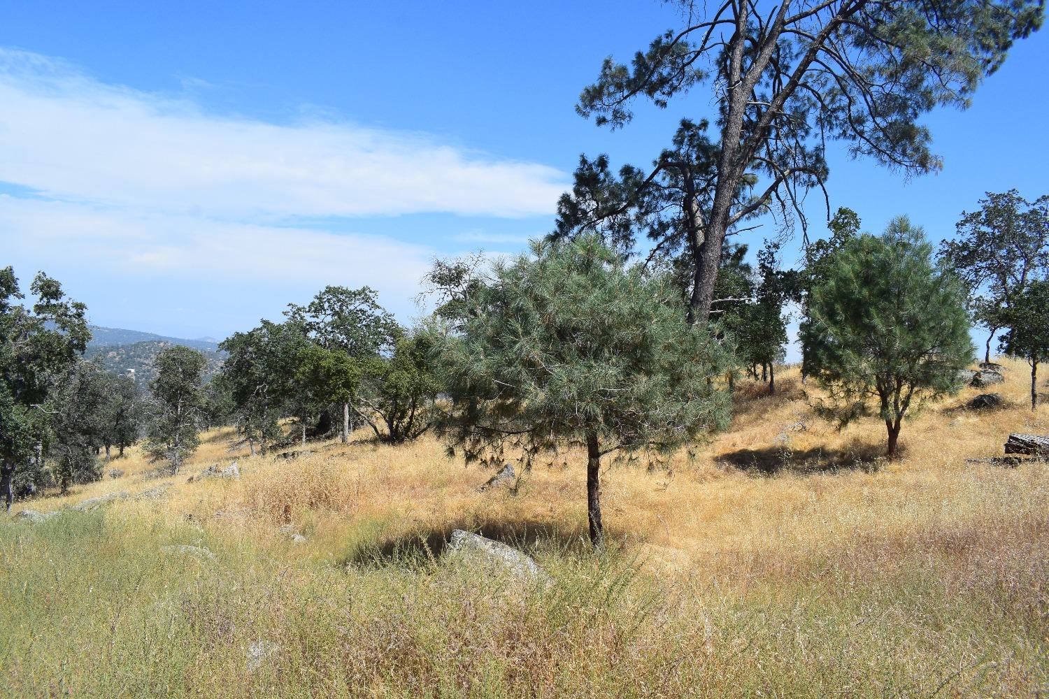 Smith Station Road, Groveland, California image 1