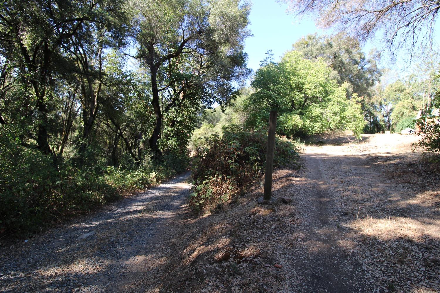 La Porte Road, Rackerby, California image 33