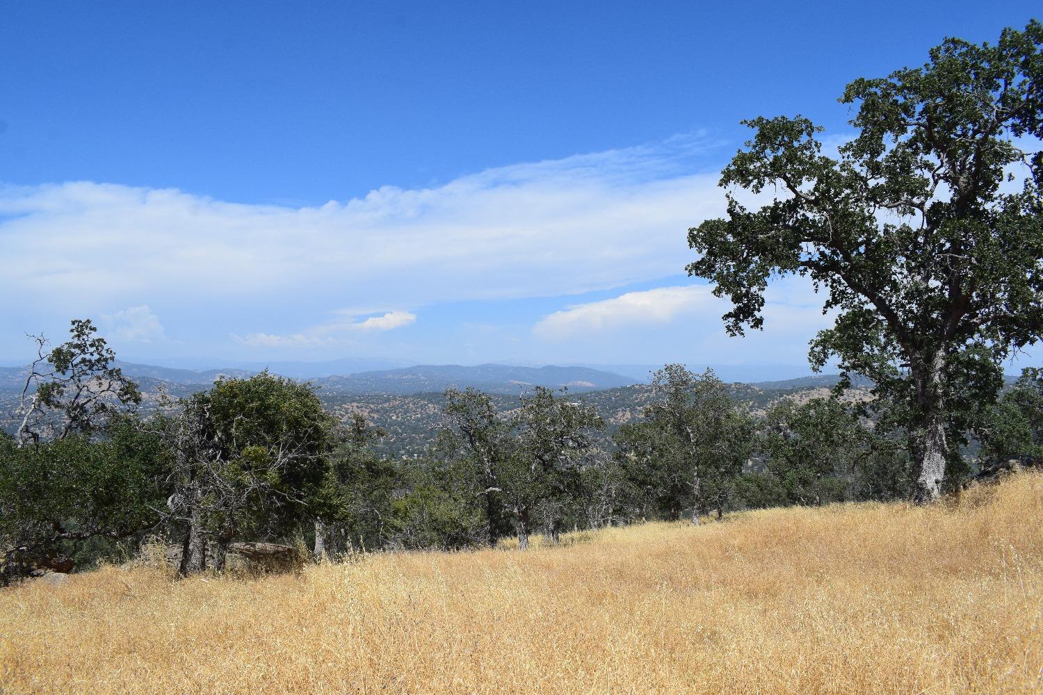 Smith Station Road, Groveland, California image 18