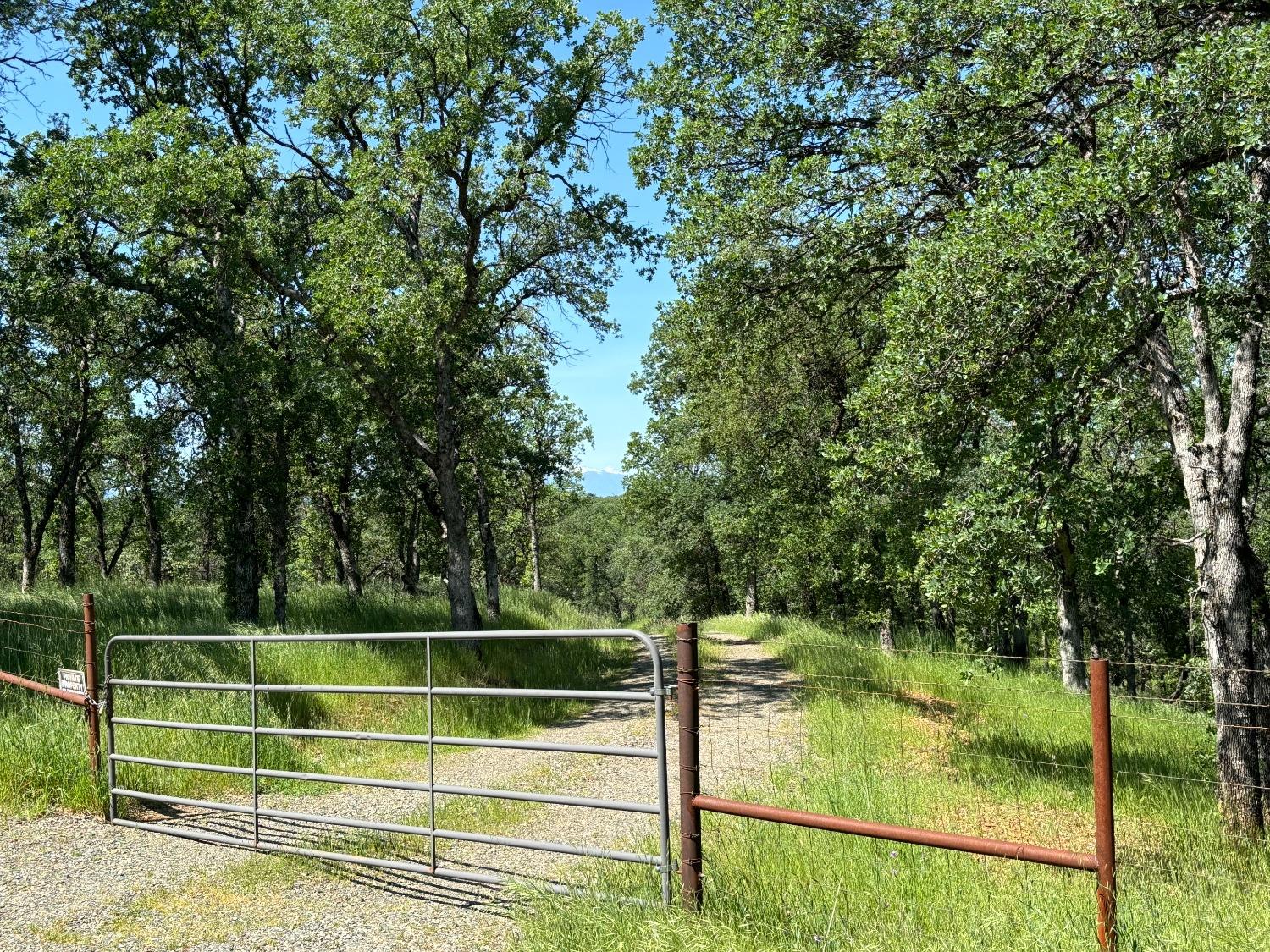 Todd Way, Cottonwood, California image 1