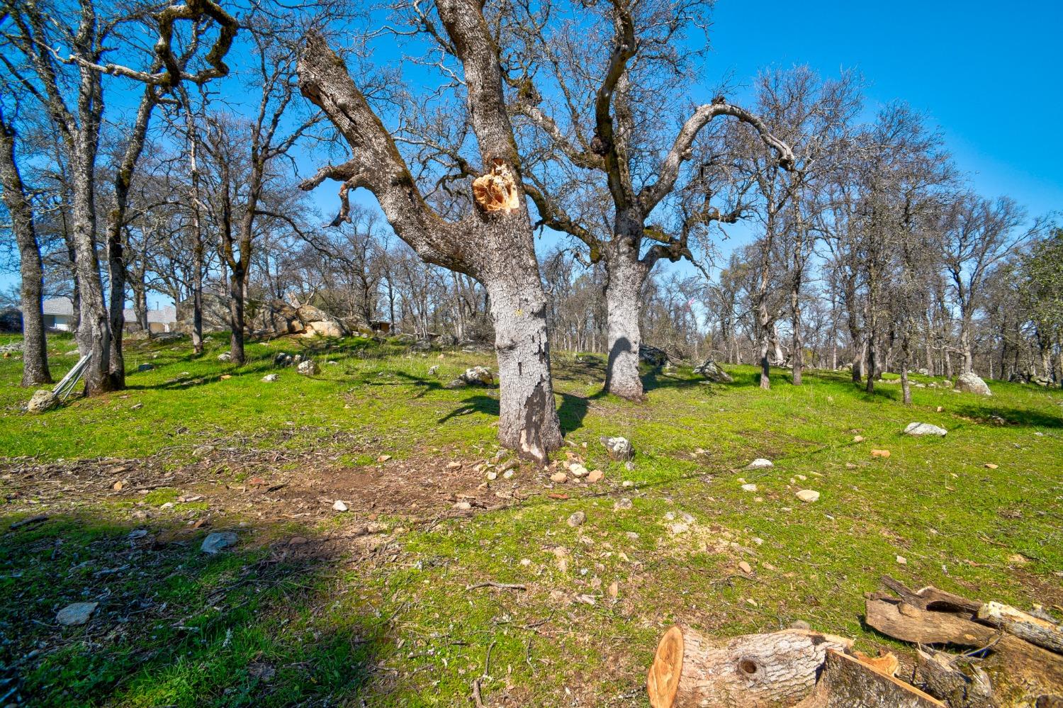 Detail Gallery Image 10 of 59 For 300 Stoney Oaks Blvd, Oroville,  CA 95966 - 3 Beds | 2 Baths