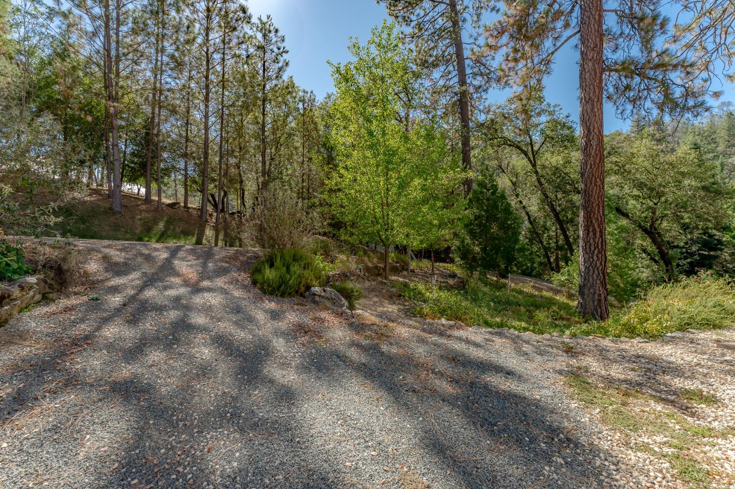 Detail Gallery Image 44 of 63 For 16879 Kiwi Rd, Grass Valley,  CA 95949 - 3 Beds | 2 Baths