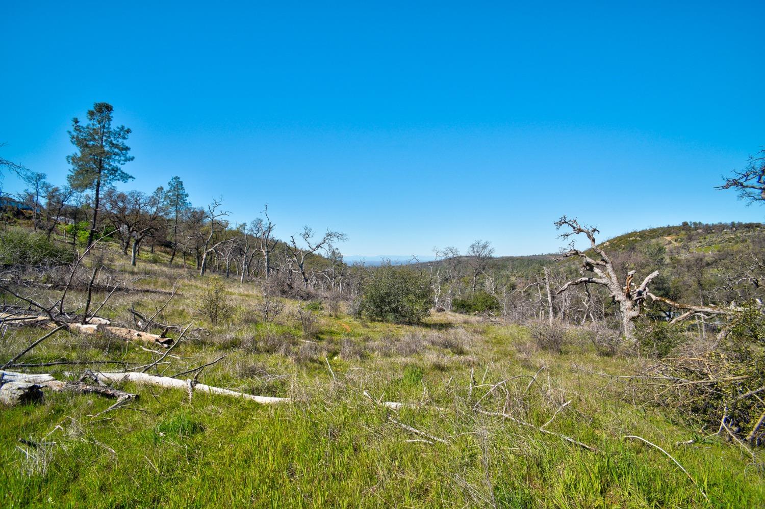 Detail Gallery Image 50 of 59 For 300 Stoney Oaks Blvd, Oroville,  CA 95966 - 3 Beds | 2 Baths