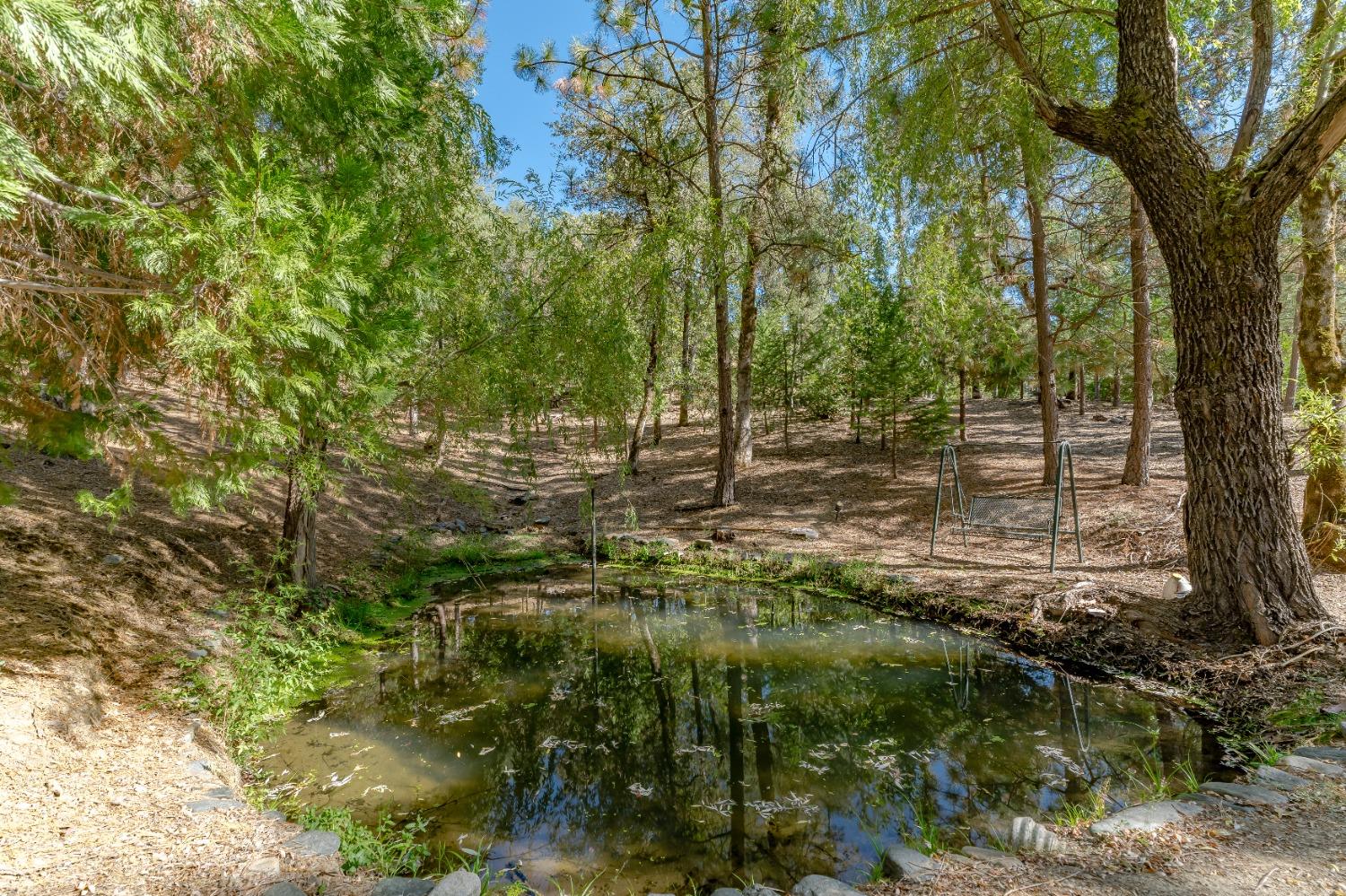 Detail Gallery Image 34 of 63 For 16879 Kiwi Rd, Grass Valley,  CA 95949 - 3 Beds | 2 Baths