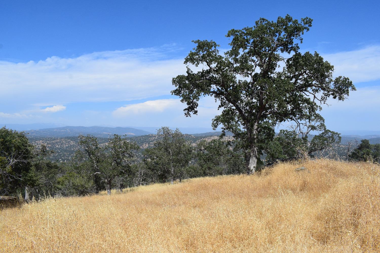 Smith Station Road, Groveland, California image 17