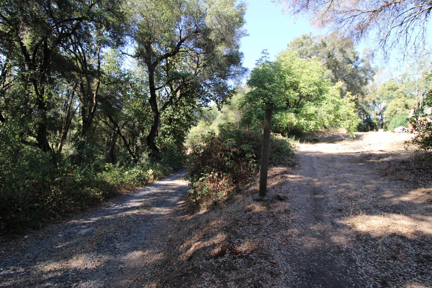 La Porte Road, Rackerby, California image 32