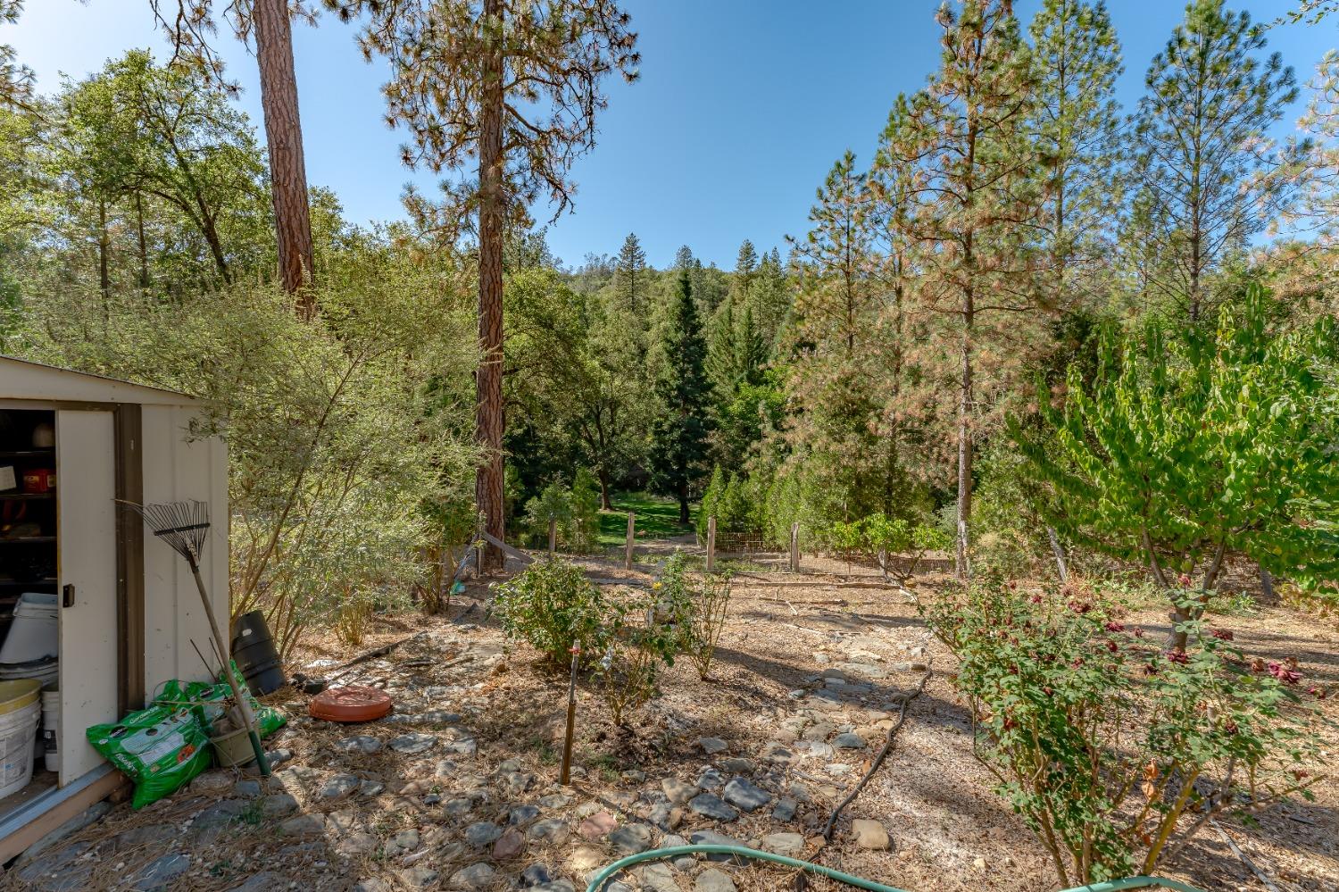 Detail Gallery Image 46 of 63 For 16879 Kiwi Rd, Grass Valley,  CA 95949 - 3 Beds | 2 Baths