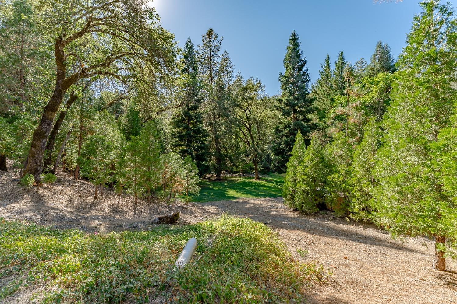 Detail Gallery Image 37 of 63 For 16879 Kiwi Rd, Grass Valley,  CA 95949 - 3 Beds | 2 Baths