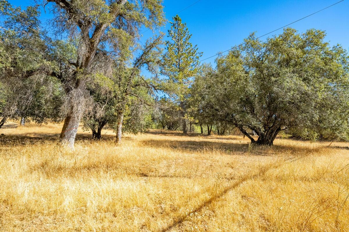 State Highway 193, Greenwood, California image 48