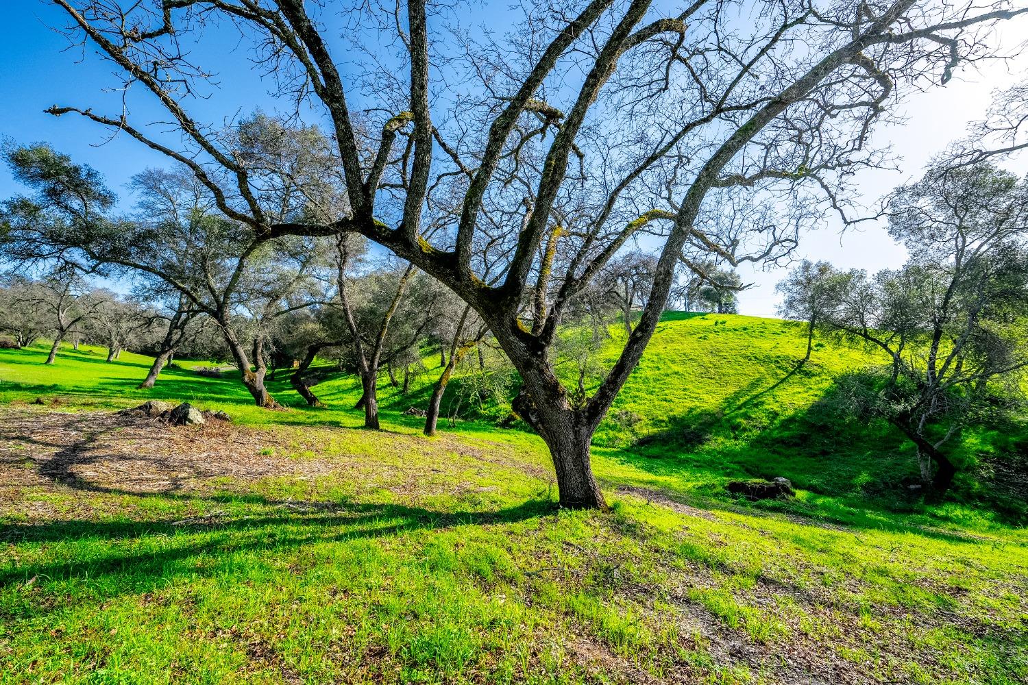 Detail Gallery Image 20 of 28 For 0 Steeple Chase, Shingle Springs,  CA 95682 - – Beds | – Baths